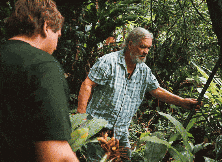 Alan Carle collecting plants in rainforest near Mossman, Far North Queensland