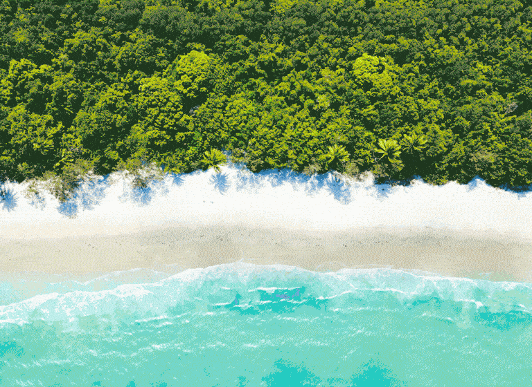 Aerial view of Daintree rainforest meeting the Great Barrier Reef on the Daintree Coast, Far North Queensland